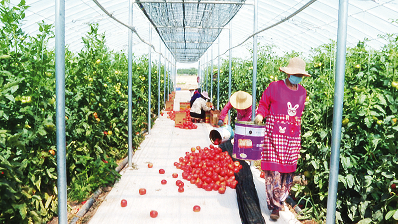 1750751815288317.png 微信圖片_20250624155548.png