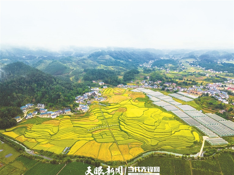 花茂村田園風光美如畫。 羅星漢 攝.jpg