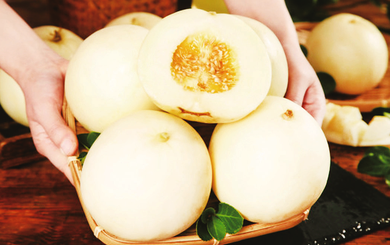 1752053069334743.png ee255e314abd45789b97ed801f6829db.png