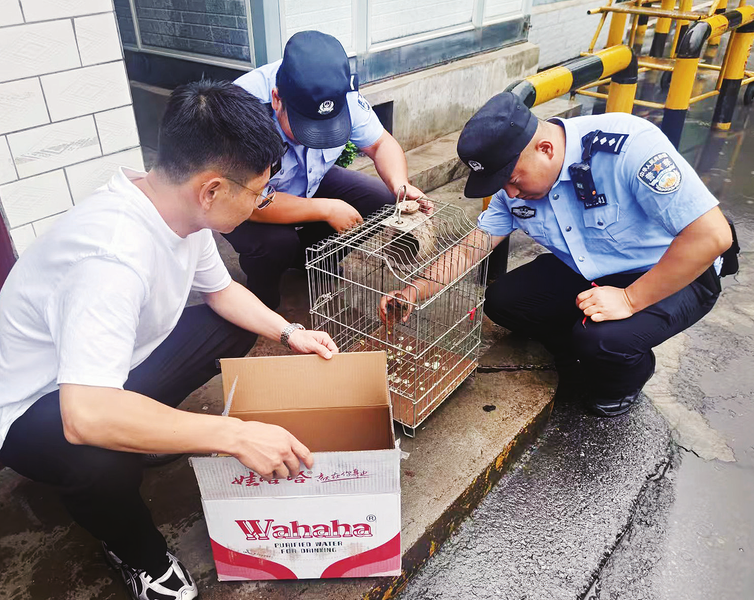 1752117831266557.png 9ea3a7ade816a14e98cd7aa8b5487450_img_0_610_271_216.png