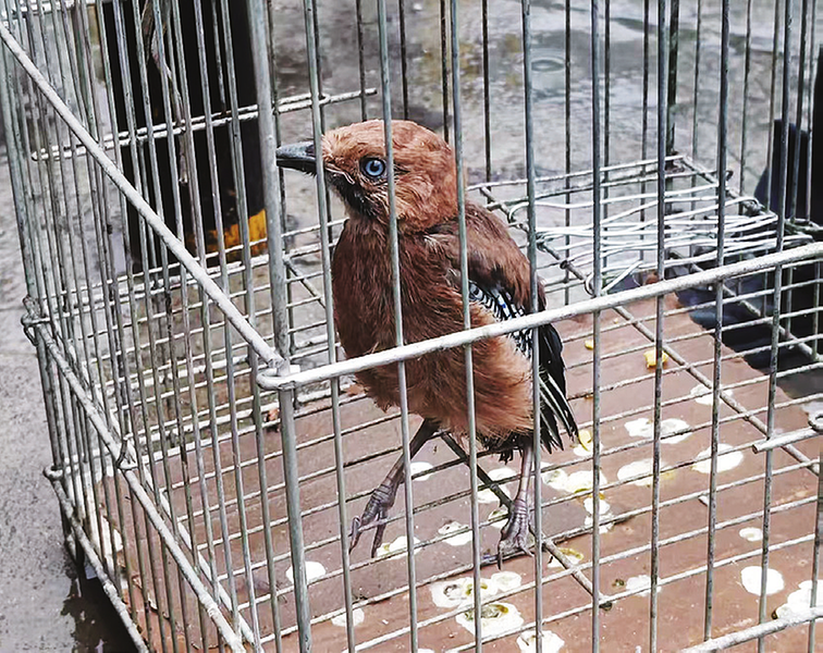 1752117842229926.png 9ea3a7ade816a14e98cd7aa8b5487450_img_192_673_200_158.png