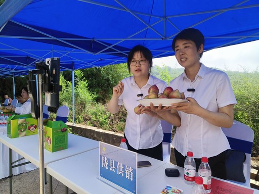 1752221541899131.jpg 20250710_165603_5f592070f1ad4e8da3267ef3dab9a552_b_B_BASIC.jpg