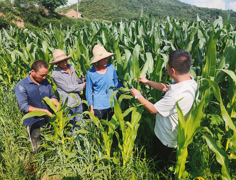 1752562088471883.png 9ea3a7ade816a14e98cd7aa8b5487450_img_200_895_391_297.png