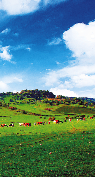 1753061906531332.png f1fb4726a1104ed592a75c153465d6ab.png