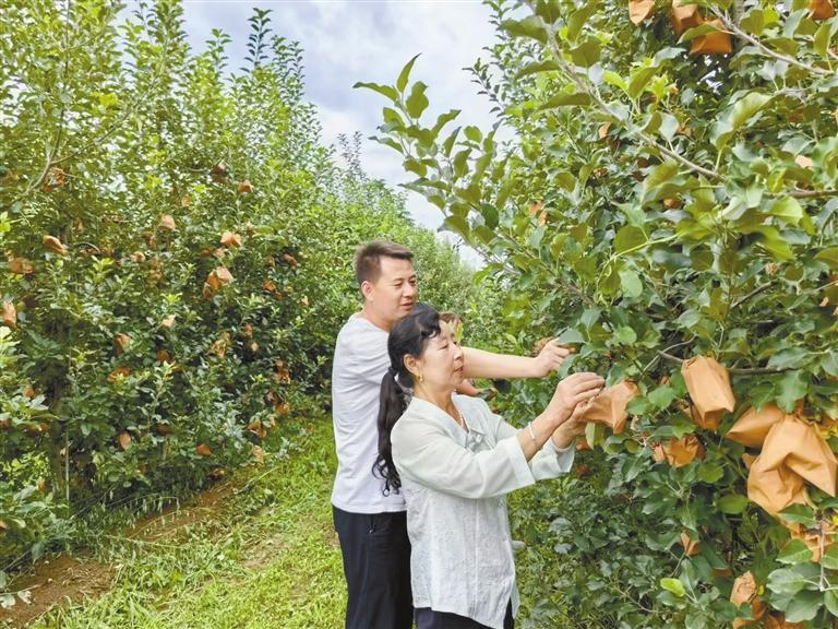 1753922792597828.png 微信圖片_20250731084618.png