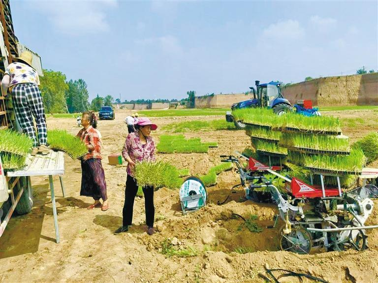 1754007699895485.png 微信圖片_20250801082055.png