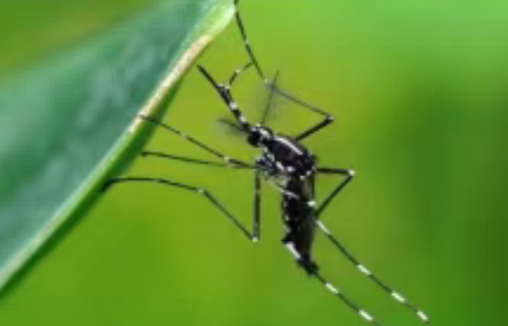 1754364332114074.png image.png