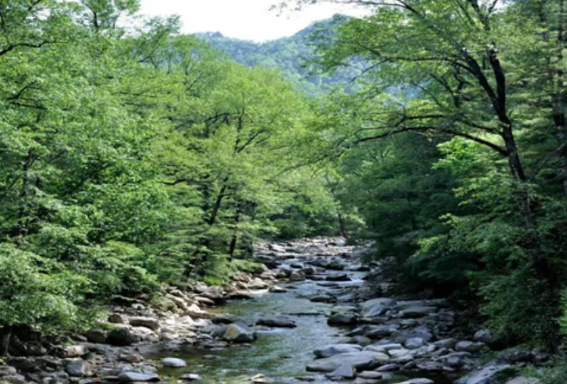 1754364343125015.png image.png