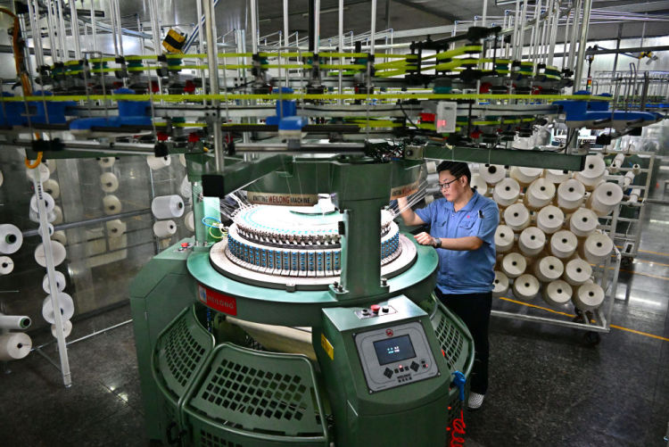 鏡觀·回響丨筑牢就業“壓艙石” 守護群眾幸福感