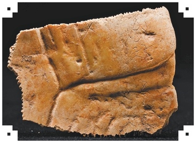 1755243641571503.jpg 00c5ced22c2c4883b364fb679958f1a8.jpg