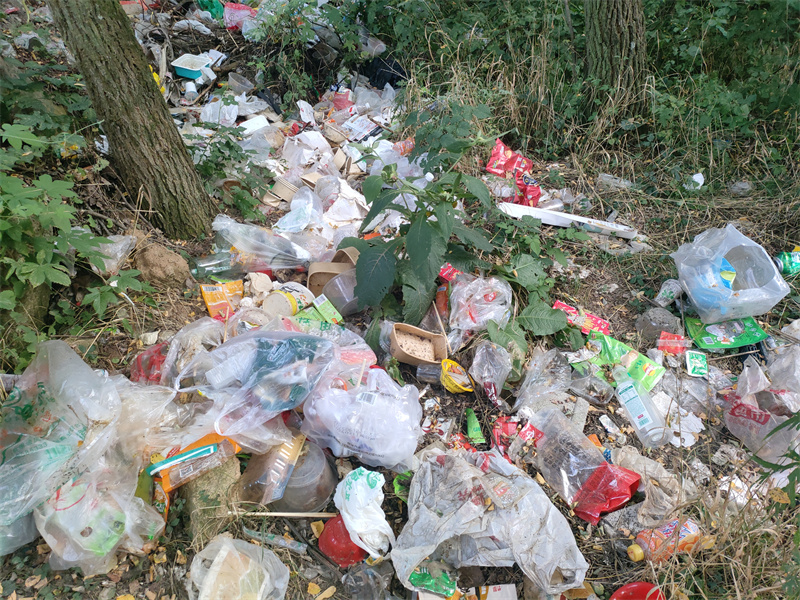 1755760582155557.jpg 1.jpg