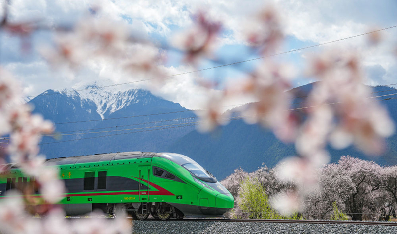 2025年4月2日,復興號列車穿行在拉林鐵路林芝段。