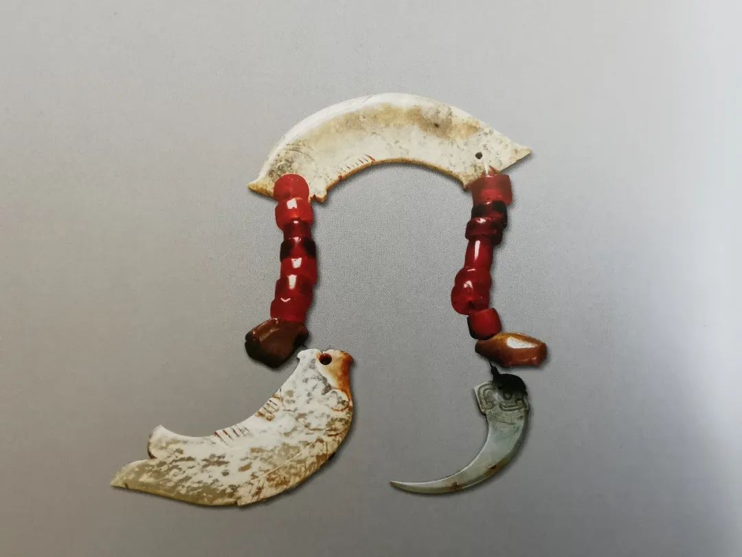 1756371113418092.jpg 15f8ebe2e603400db0b29abc5a5ac36c.jpg