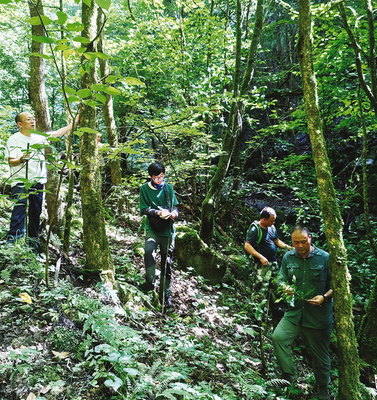 1756451100683174.png 9ea3a7ade816a14e98cd7aa8b5487450_img_0_207_290_308.png