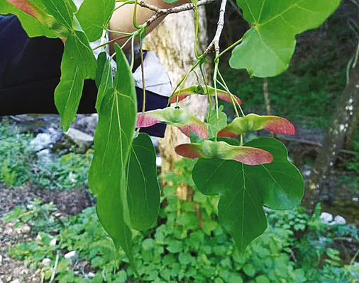 1756451126898242.png 9ea3a7ade816a14e98cd7aa8b5487450_img_188_204_188_149.png