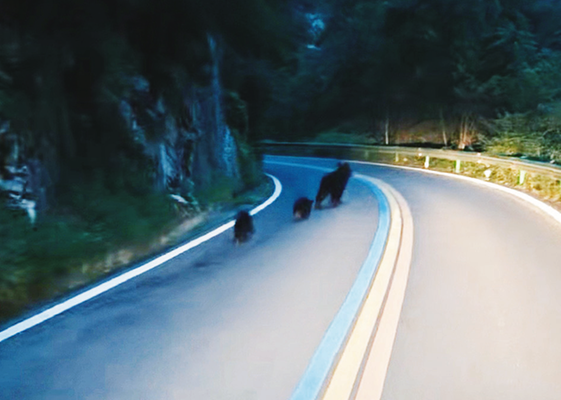 1756712563582296.png 1ff1a9cdcc1865b4dcafde03798e8da0_img_308_1169_273_194.png