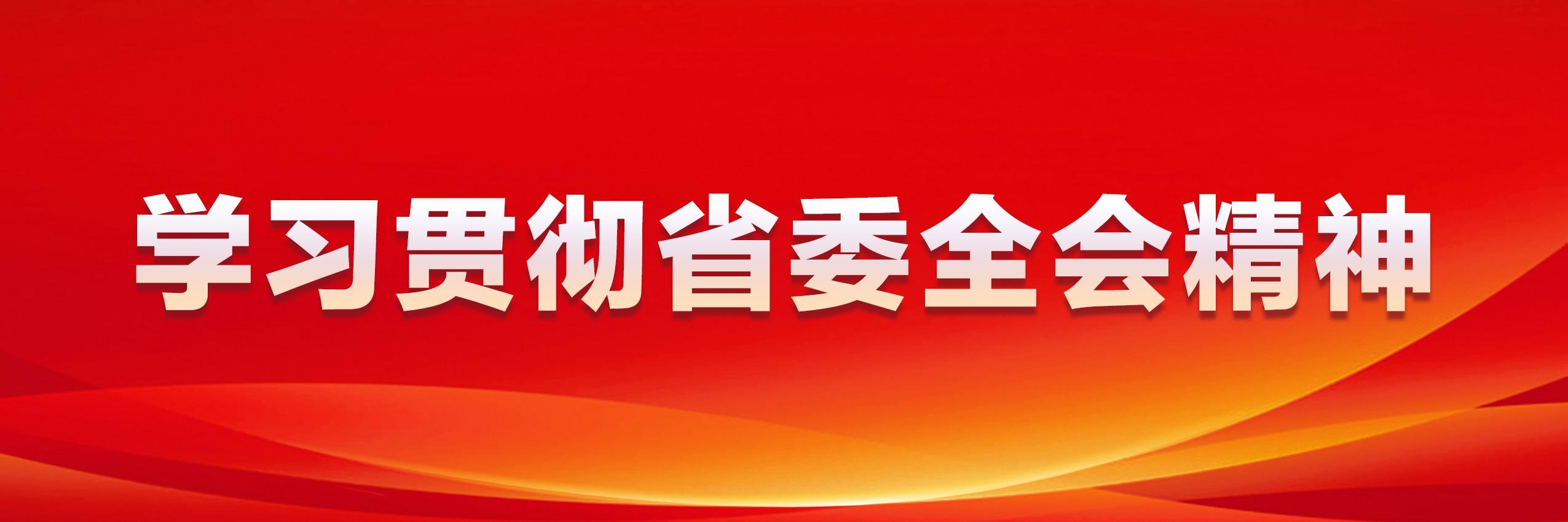 学习贯彻省委全会精神