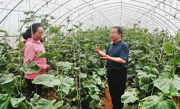 1757920989861712.png 9ea3a7ade816a14e98cd7aa8b5487450_img_300_909_259_158.png