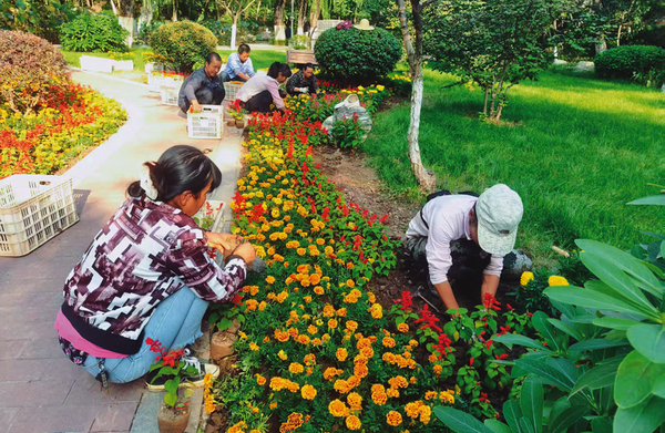 1759043241286906.png 9ea3a7ade816a14e98cd7aa8b5487450_img_178_645_381_250.png