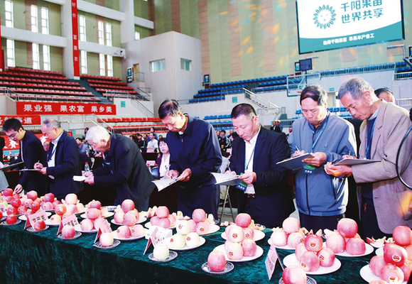 1759214177404147.png faa8baf774cf9325af616d0e8df91b07_img_0_570_280_194.png