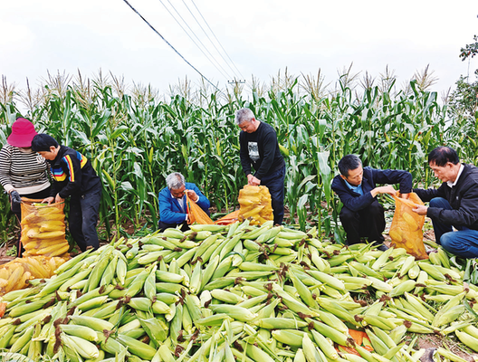 1760081401252522.png A1.png