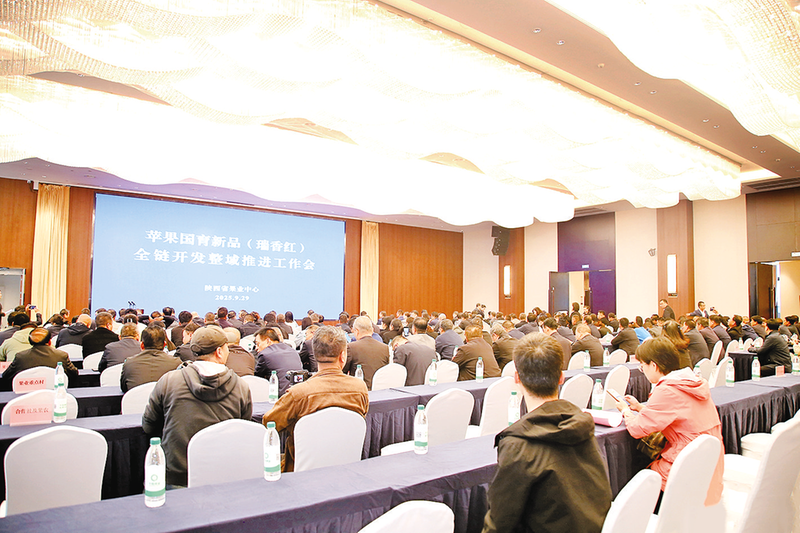 1760489028808031.png 4.png