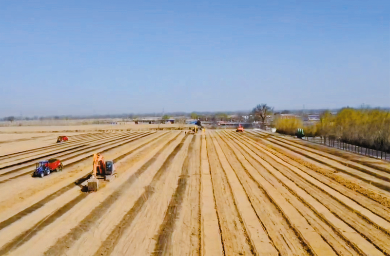 1760489140554303.png 7.png