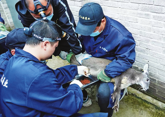 1760597548682000.png 9ea3a7ade816a14e98cd7aa8b5487450_img_289_1039_270_193.png