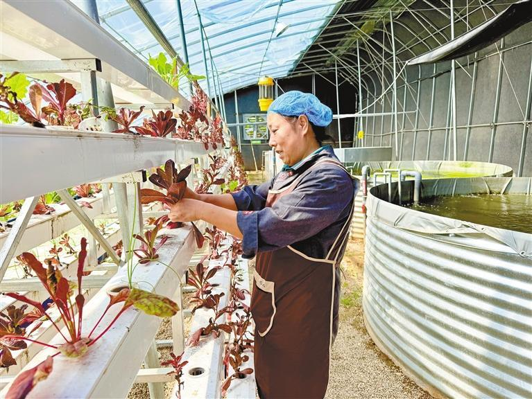 1761008068876658.png 微信圖片_20251021085415.png