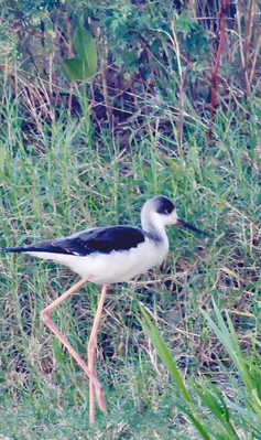 1761030561803146.png bc4707ce094b4e49ff3bd8618b6988b3_img_190_960_199_338.png