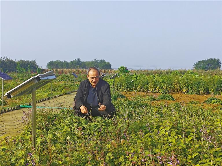 1761784065270348.png 微信圖片_20251030082633.png