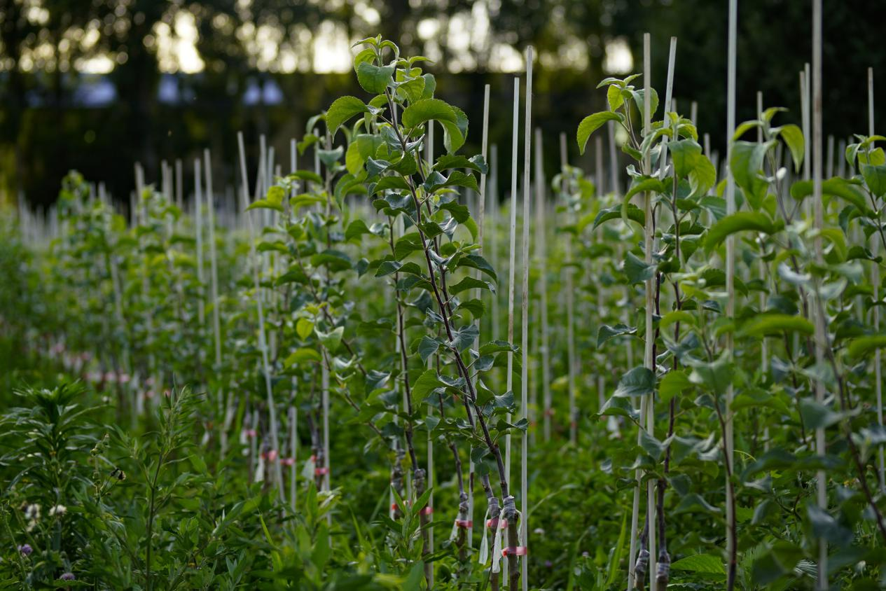 正在上傳... 3b128655df5d57abcc3893bbc5e2f109.png