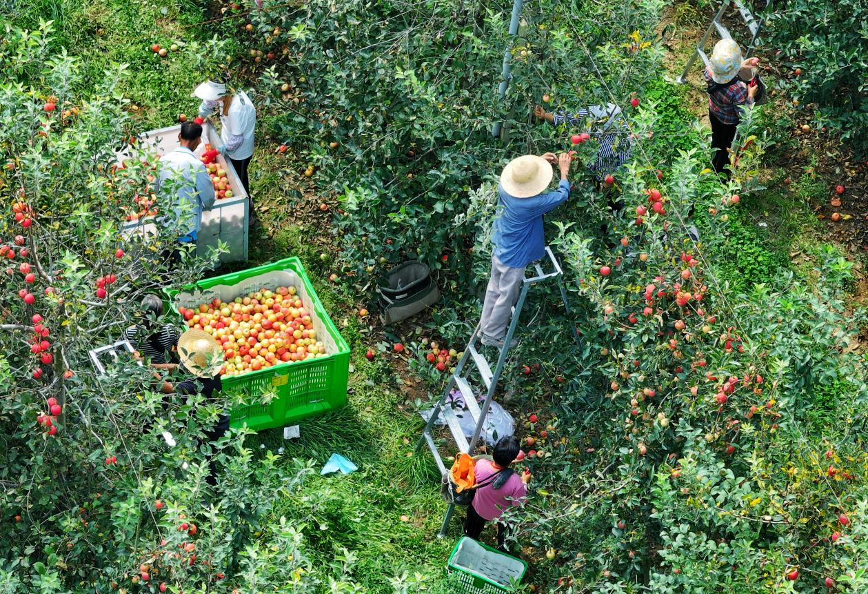 正在上傳... b41c69a64958f0708eb7f5b1d089f5ba.png