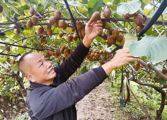 1762239615598678.png f854f41a60ffdbfabbf6868d7b98af9d_img_144_143_272_195.png