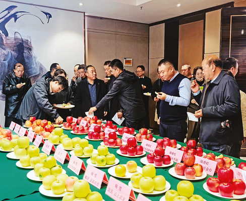 1762760256961940.png faa8baf774cf9325af616d0e8df91b07_img_279_1196_281_230.png