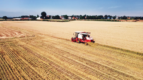 【深度·寶雞】千村萬象 和美與共——寶雞“千萬工程”的探索與實踐