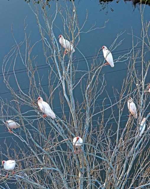 1763425388713305.png 微信圖片_20251118082254.png