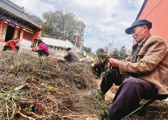 1763448325680211.png 9ea3a7ade816a14e98cd7aa8b5487450_img_0_441_270_192.png