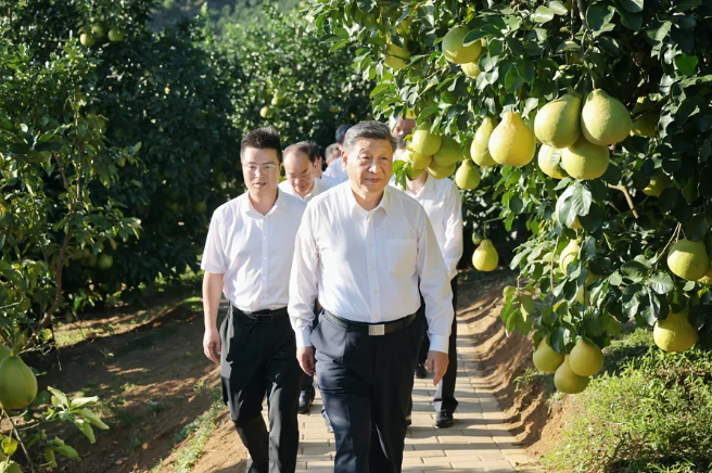 1763902818110181.png A3.png