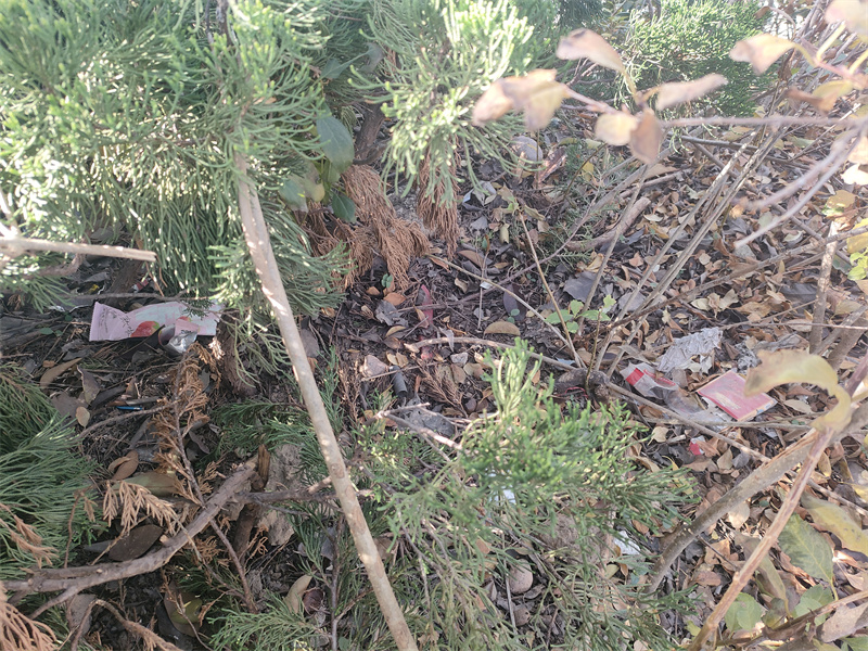 1764233958306720.jpg 2.jpg